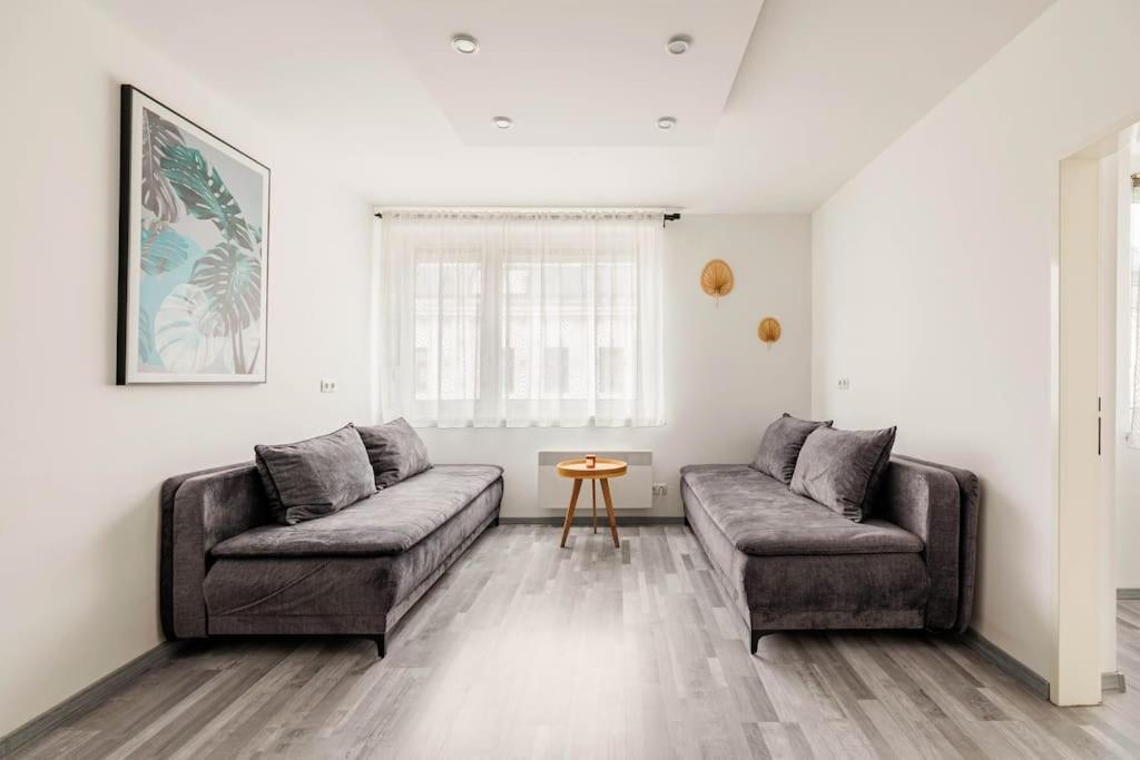 Cozy Renovated Apartment Close To Schoenbrunn Palace Wien Ngoại thất bức ảnh